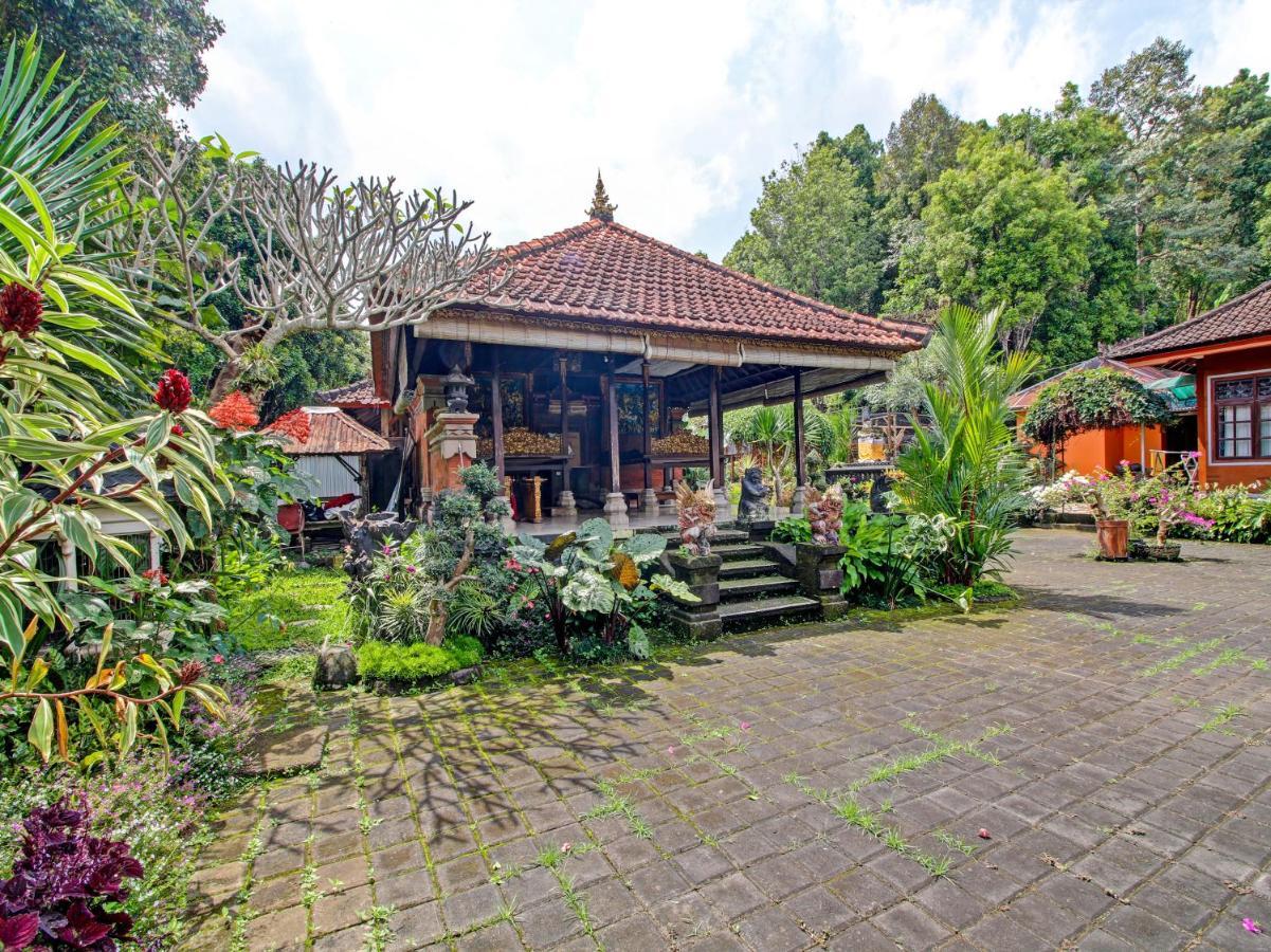 Oyo Homes 91091 Desa Wisata Umejero Munduk Exterior foto